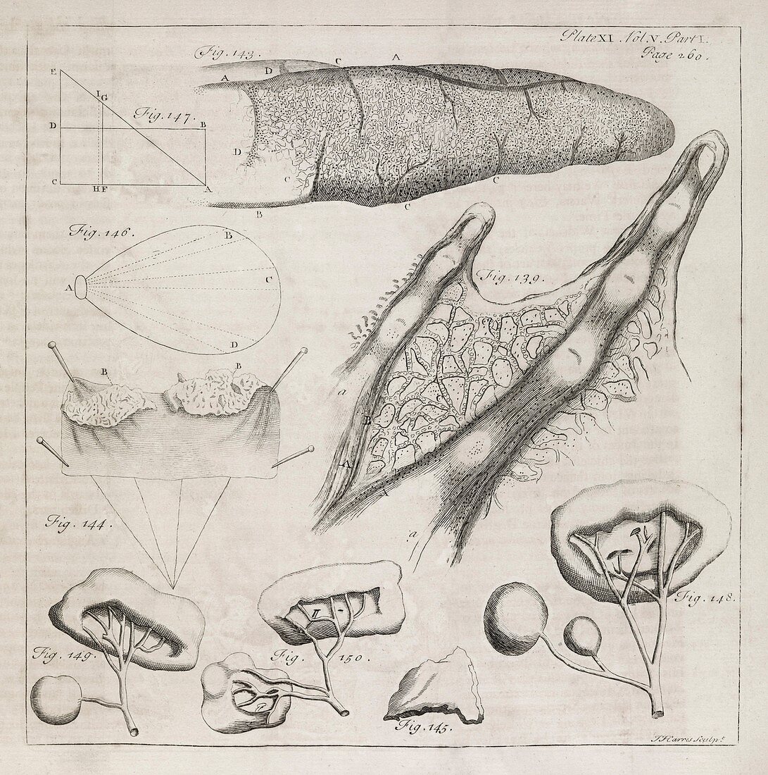 Science illustrations,18th century