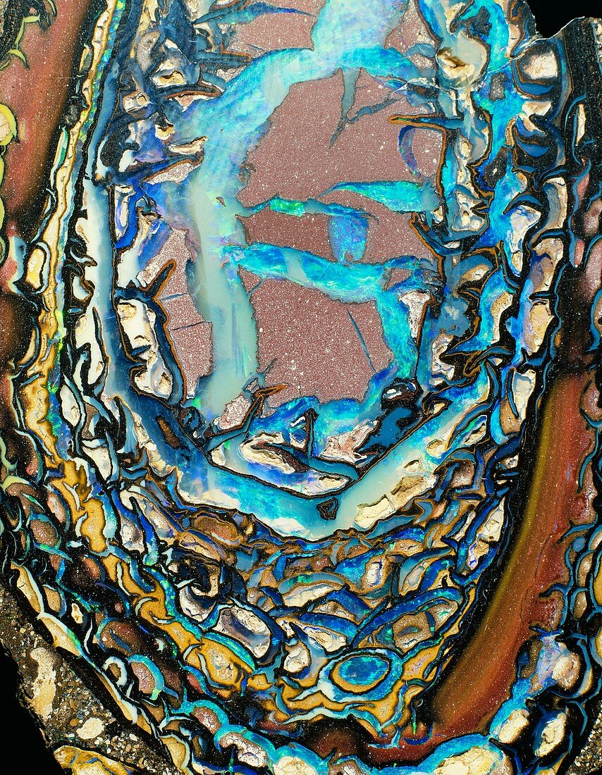 Boulder opal formation