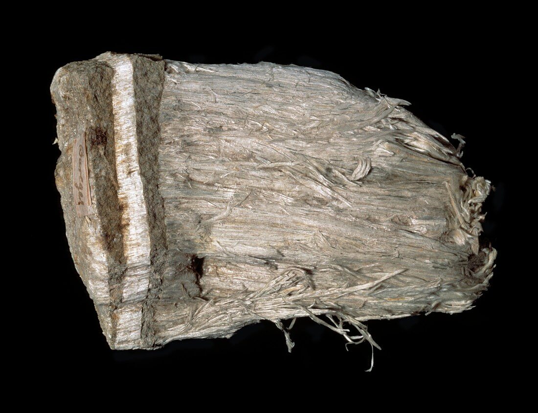 Tremolite asbestos specimen