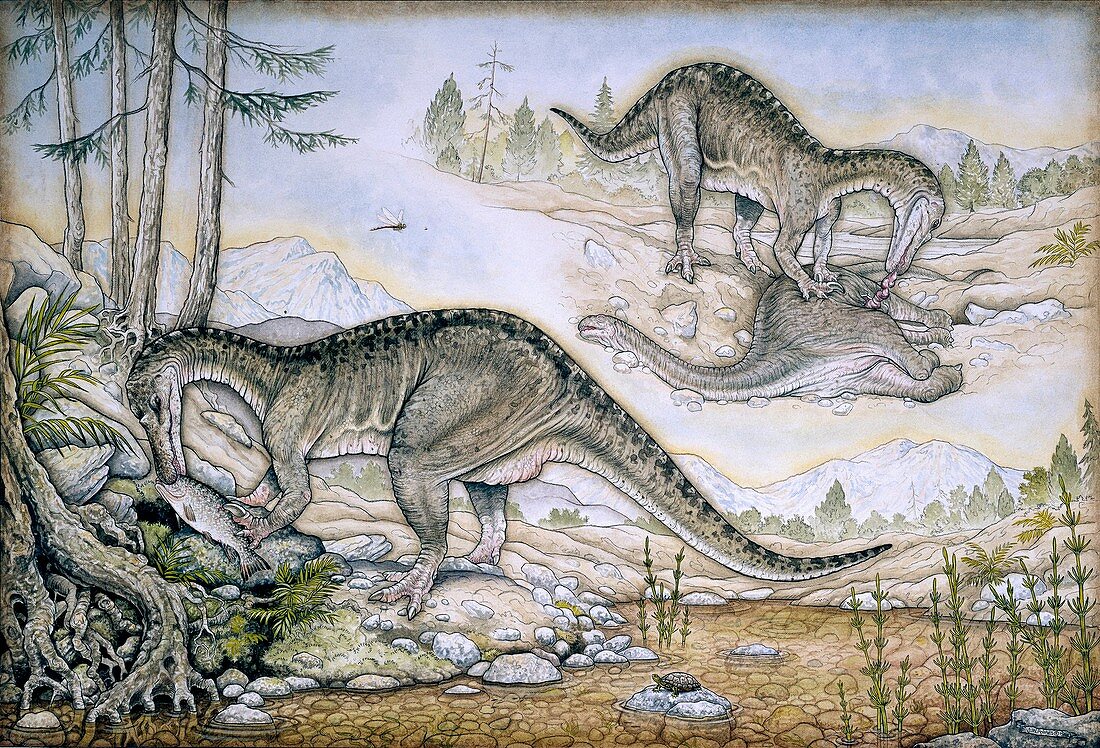 Baryonyx walkeri dinosausr,artwork