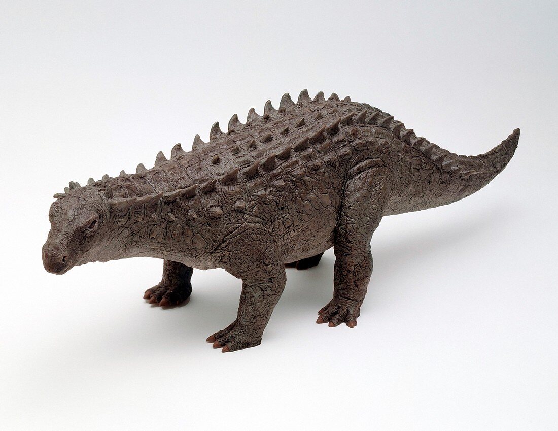 Scelidosaurus dinosaur model