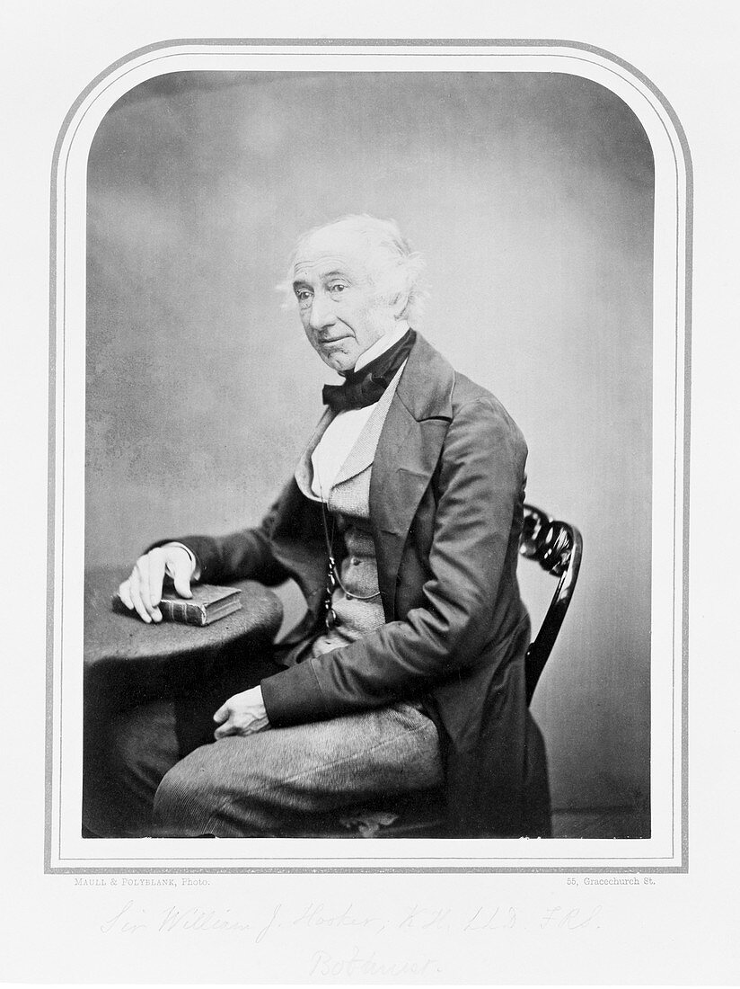 Sir William Hooker,British botanist