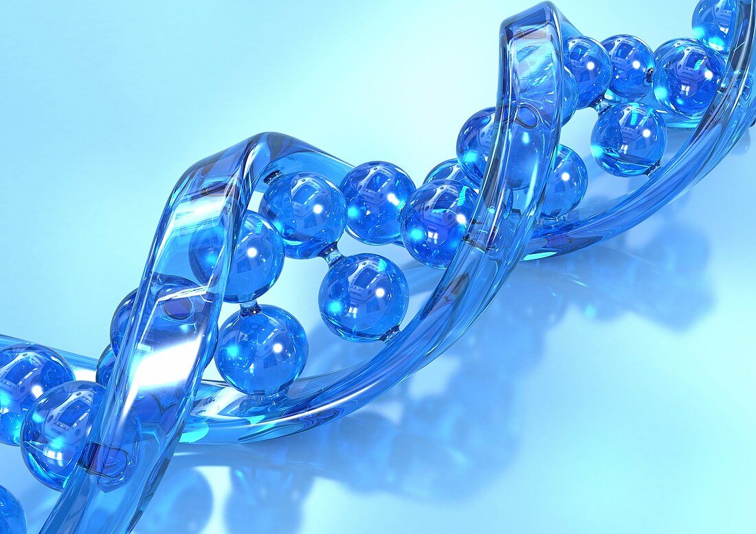 DNA molecule,artwork