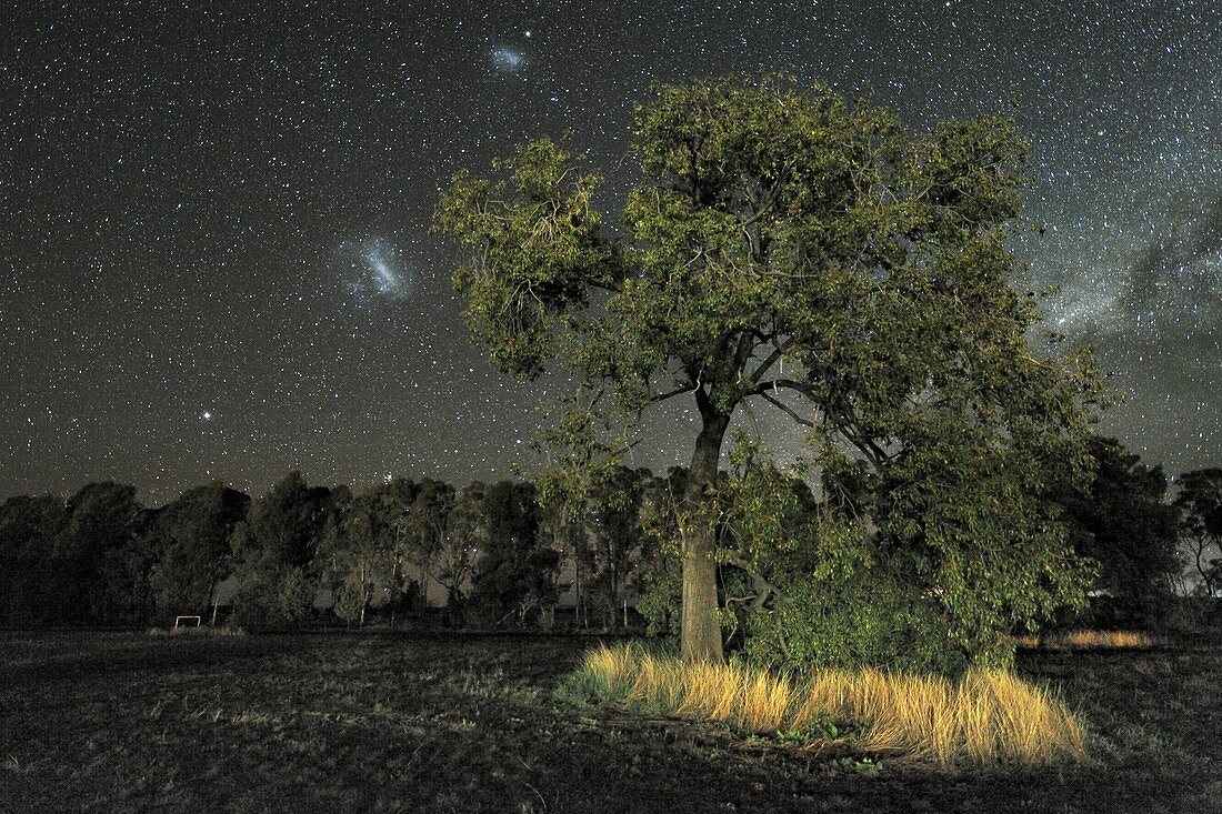 Milky Way over Parkes Observatory