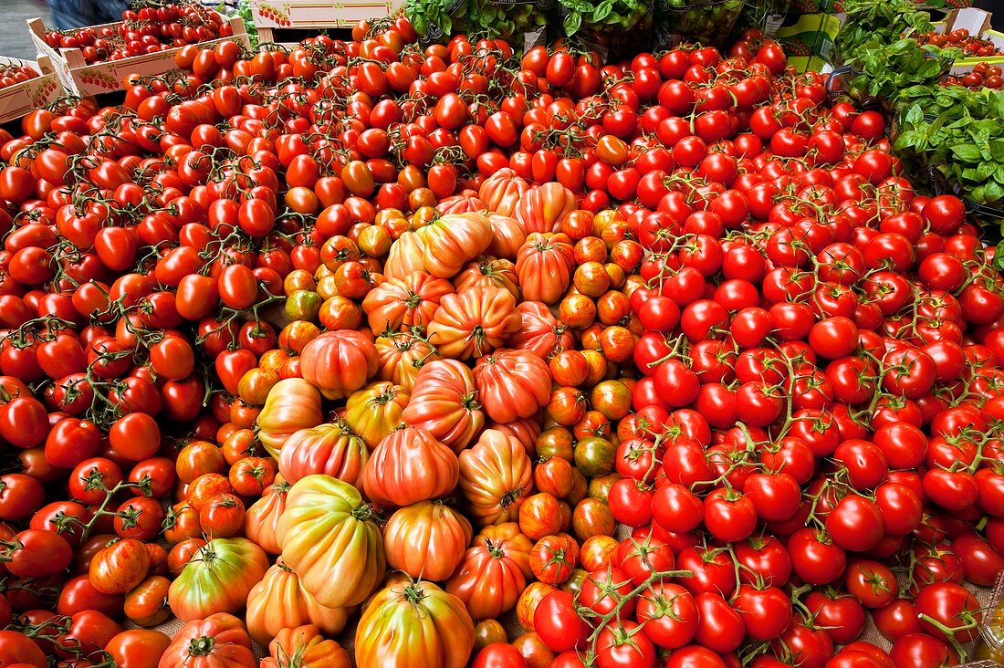 Tomato stall