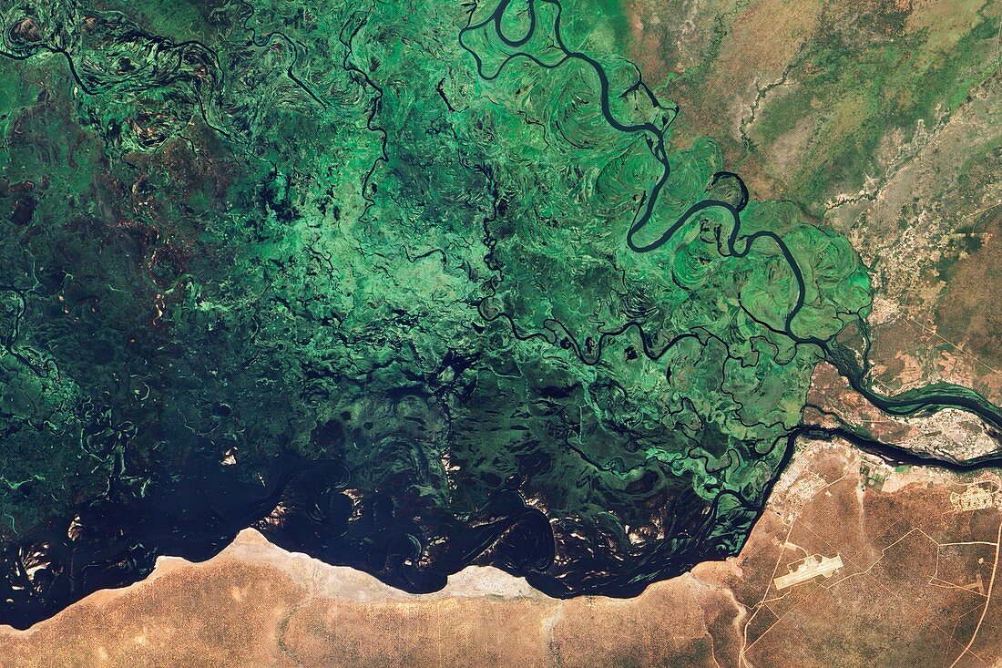 Zambezi floodplain,satellite image