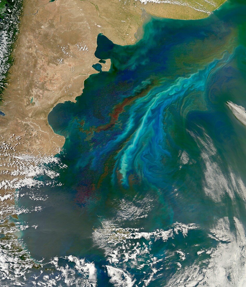 Algal bloom off Argentinian coast