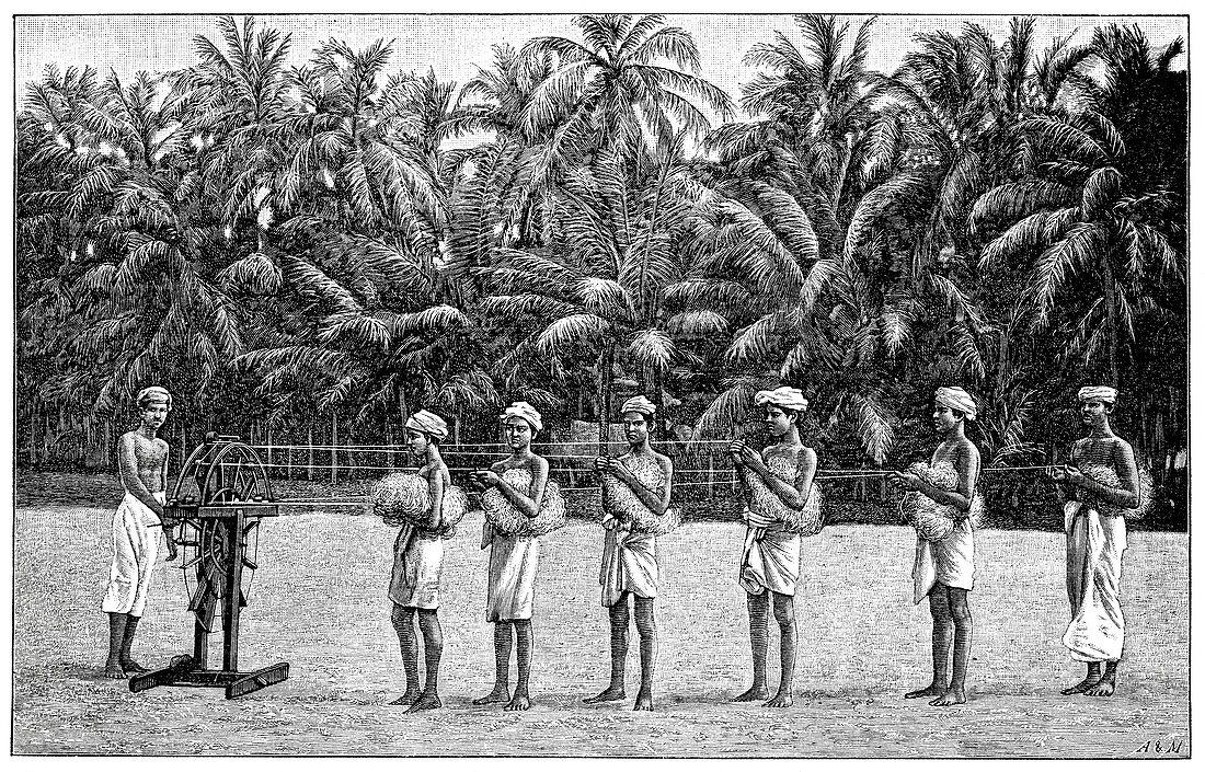 Coconut rope production,19th century