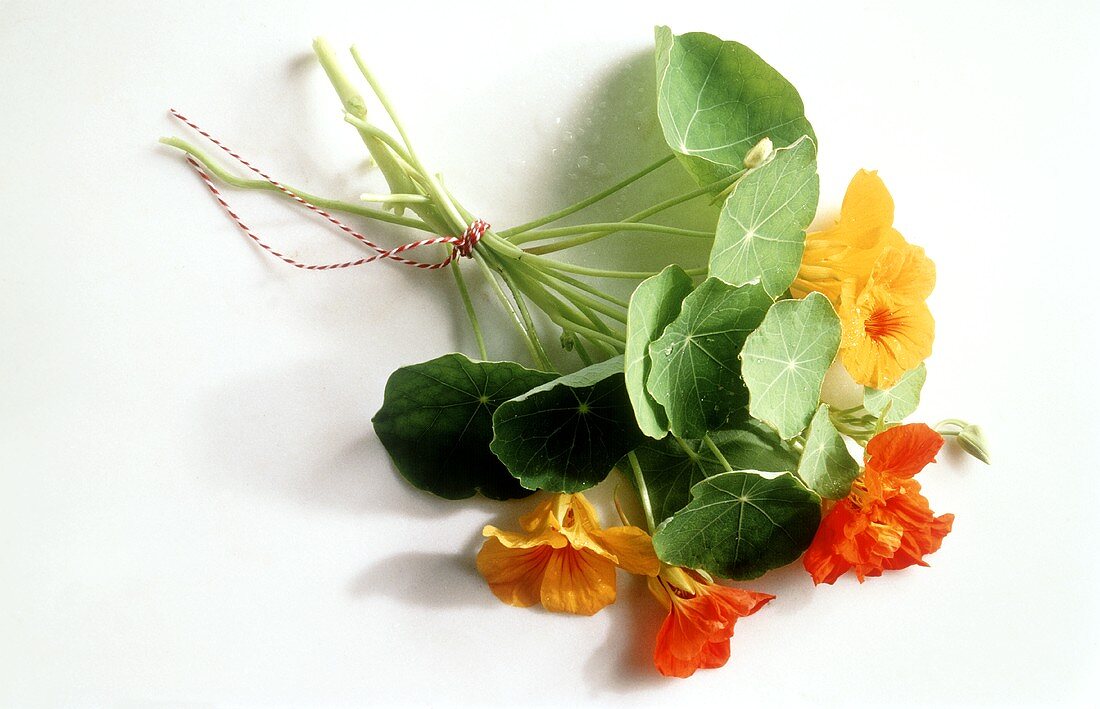 A Small Bouquet of Naturtiums