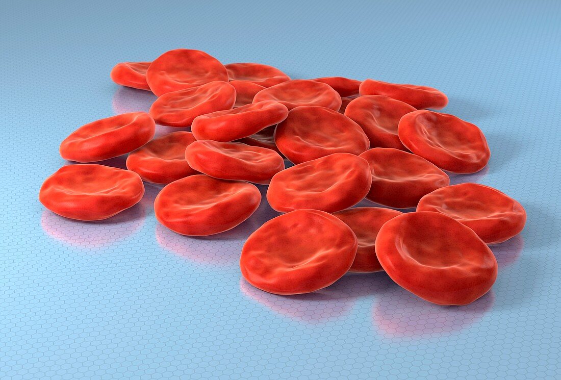 Red blood cells,artwork