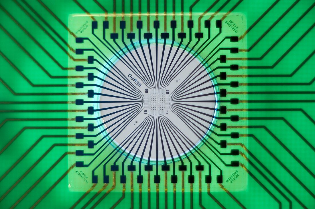 Micro-electrode array biochip