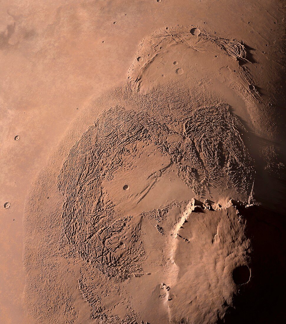 Olympus Mons and surroundings,Mars
