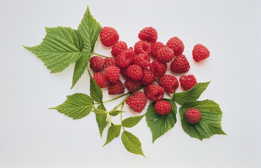 Fresh Raspberries with Leaves