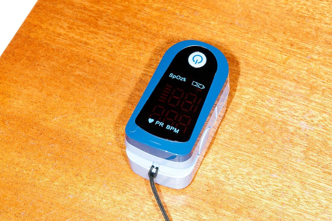 Adult pulse oximeter