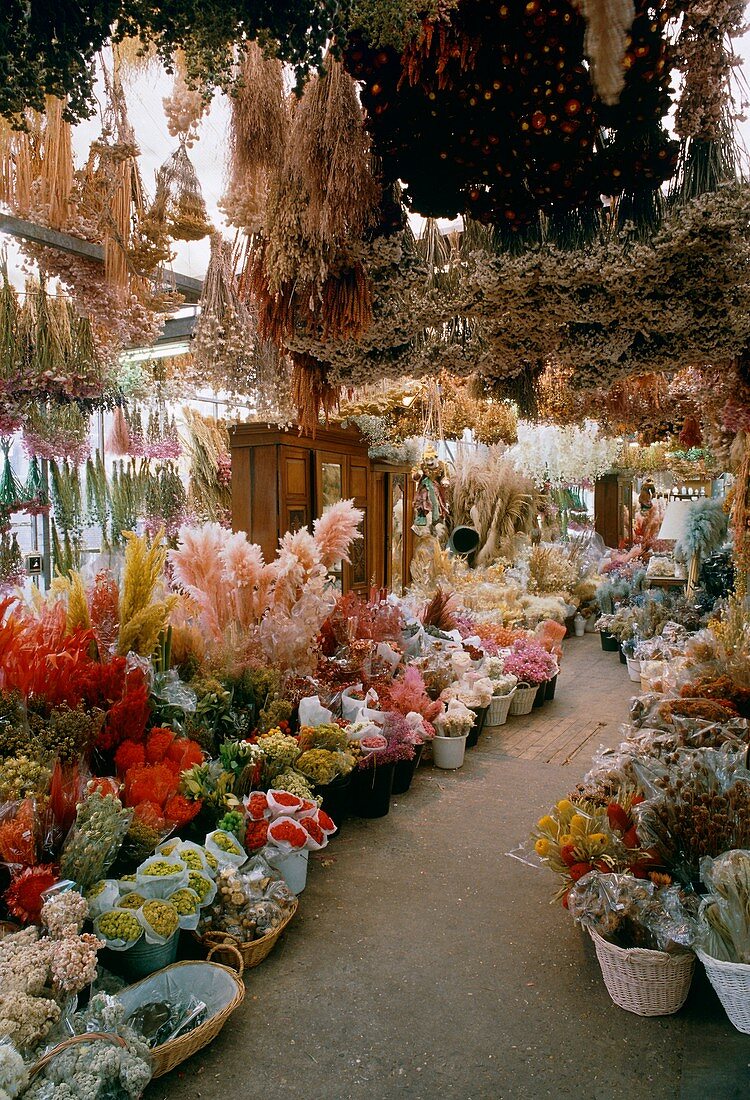 Dried flower shop
