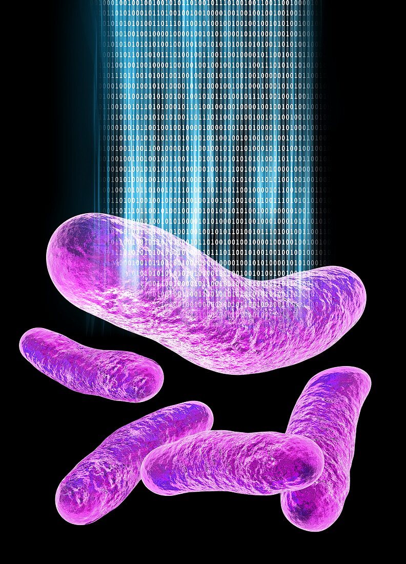 Bacterial computing,conceptual artwork