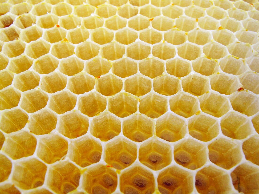 Honeycomb wax cells