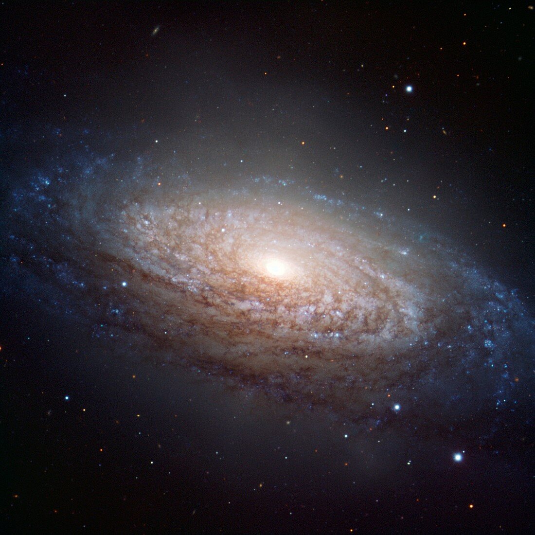 Spiral galaxy NGC 3521,VLT image