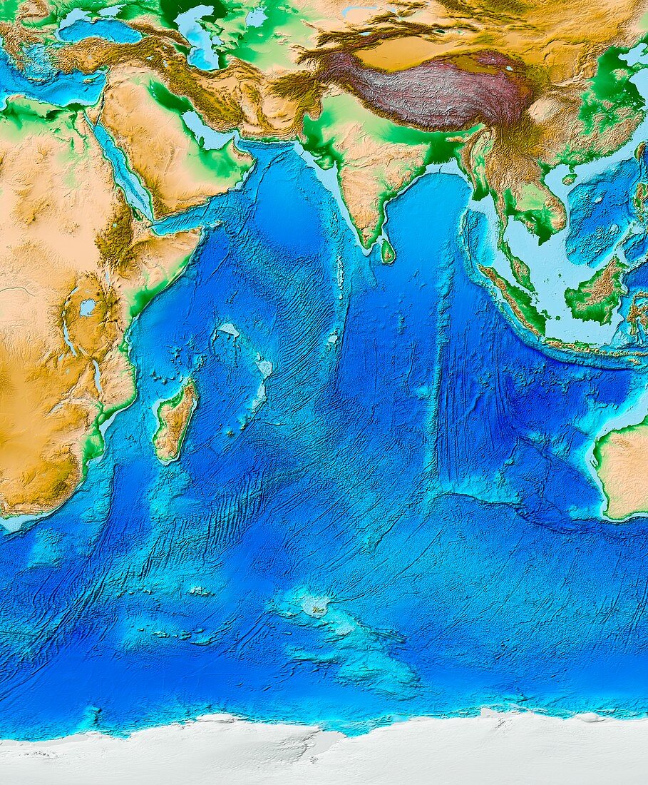 Indian Ocean topography,ETOPO1 model