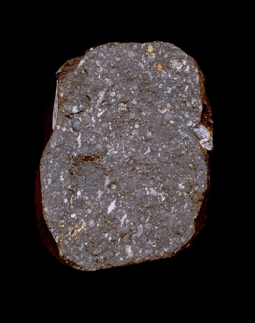 Allende meteorite specimen
