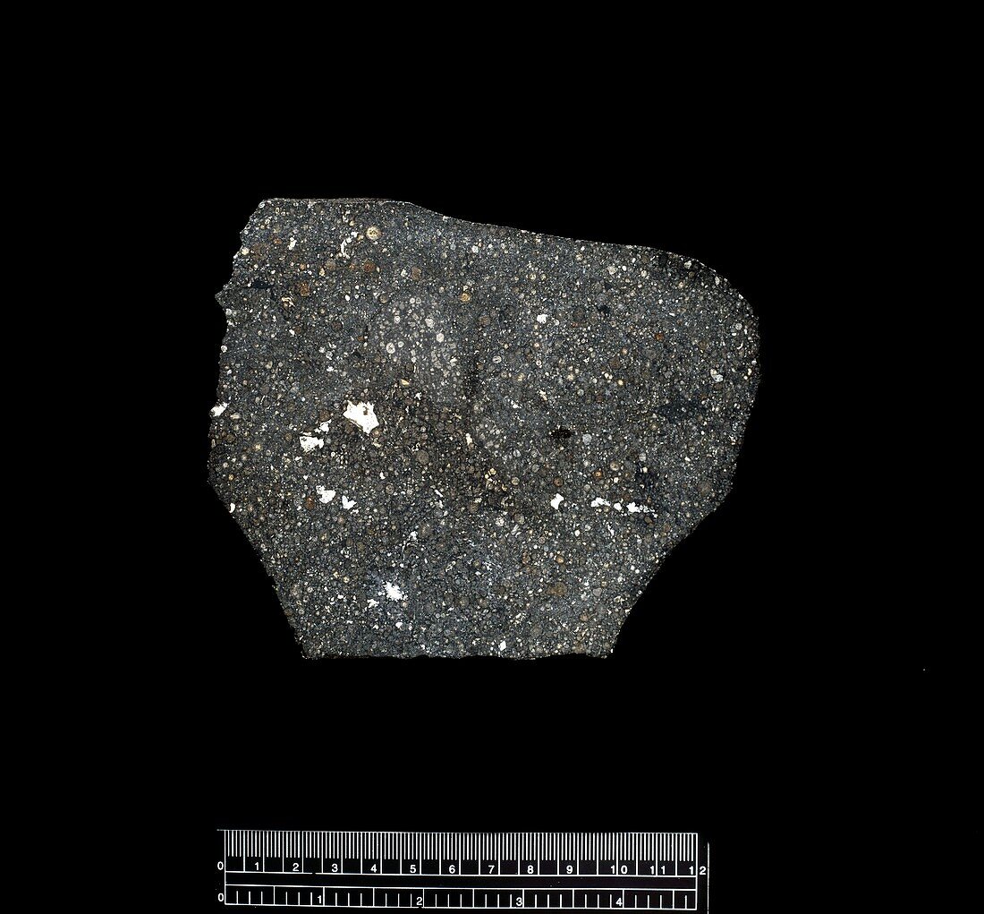 Vigarano chondrite meteorite fragment