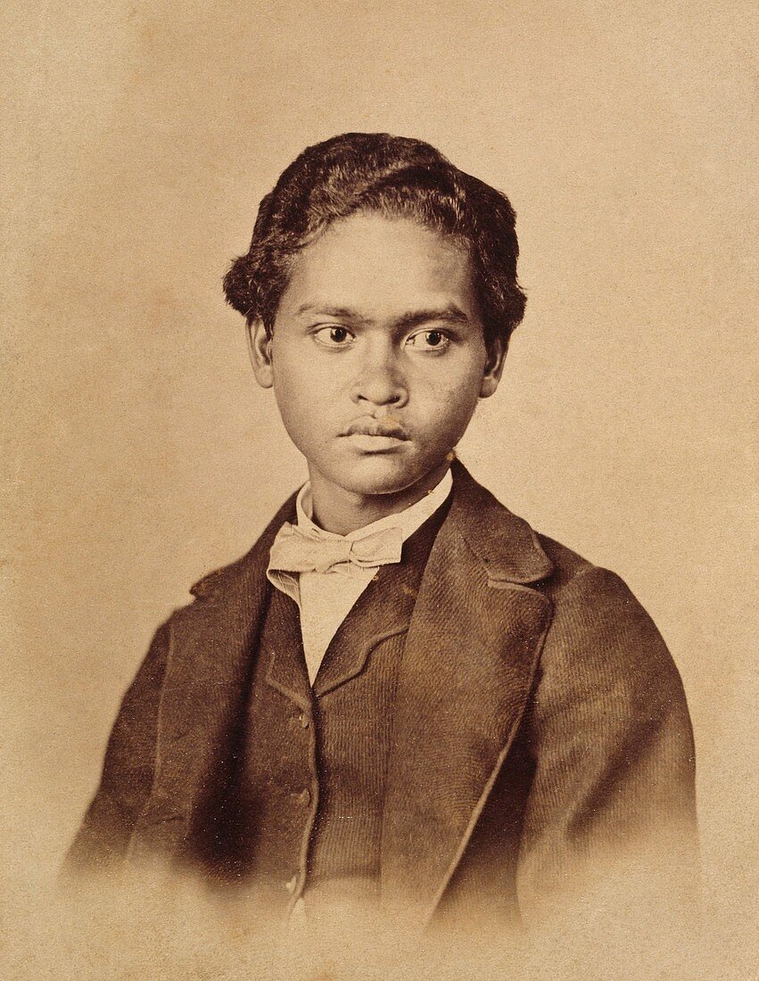 Ali,Alfred Wallace's Malay boy