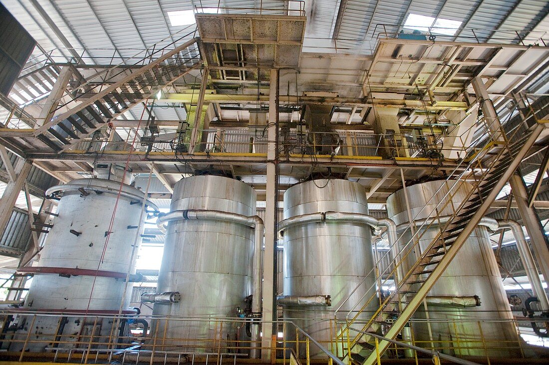 Oil palm processing factory