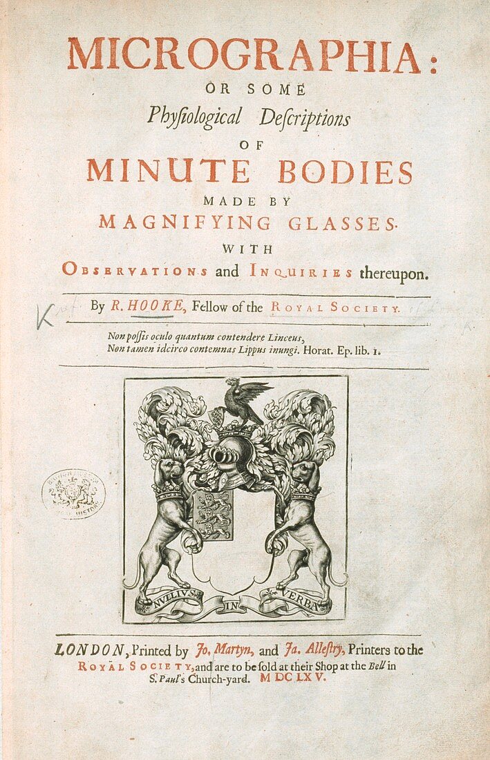 Hooke's Micrographia (1665)