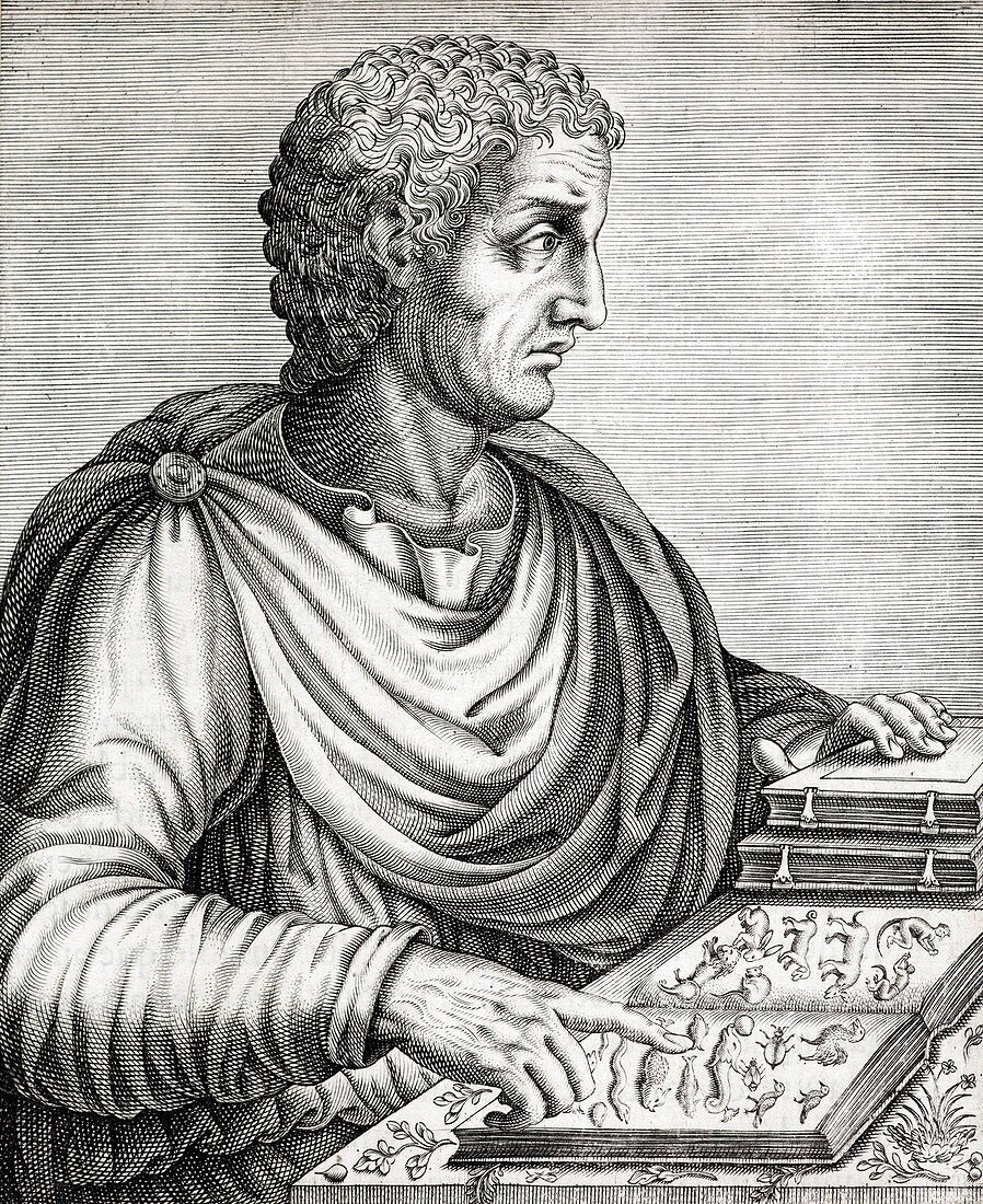 Pliny the Elder Roman Naturalist AD77
