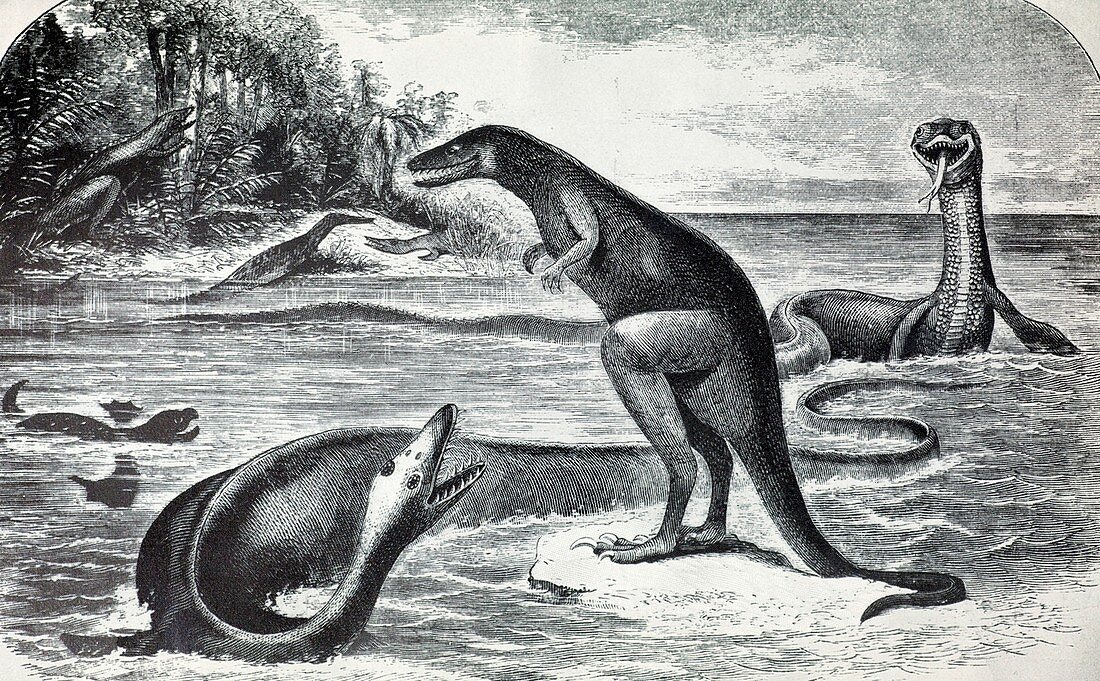 1869 Cope laelaps elasmosaurus mistake