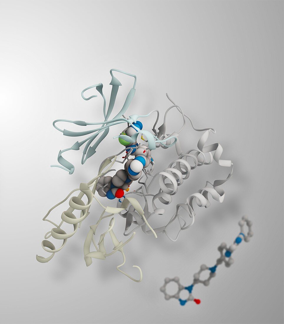 AKT1 human enzyme molecule