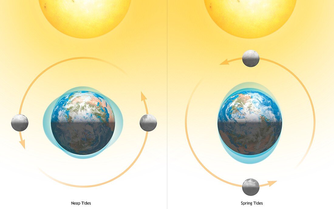 Diagram showing the Lunar tides