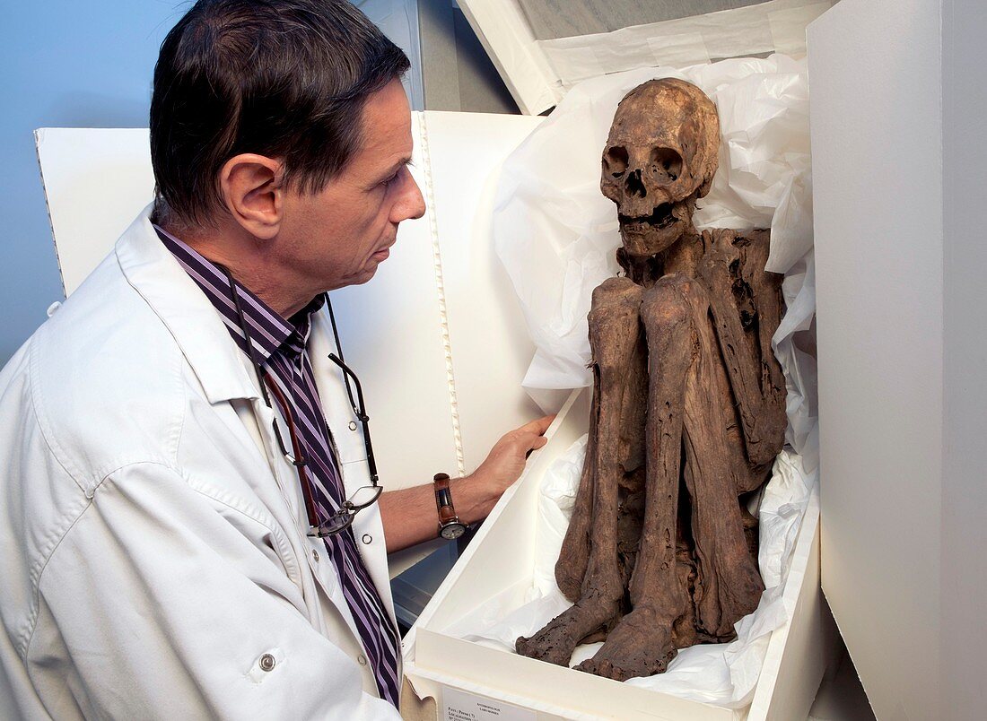 Museum curator and Amerindian mummy