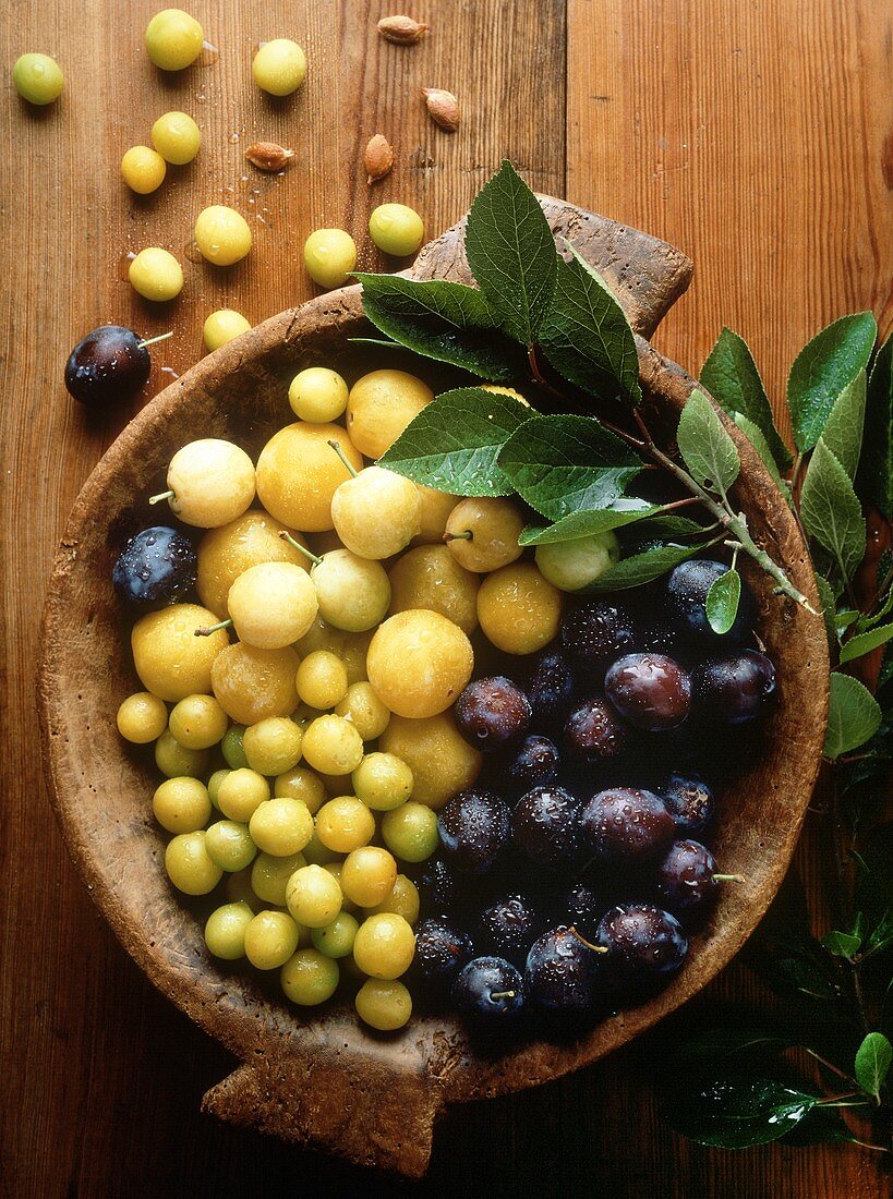 Assorted Plums in a Wood Bowl