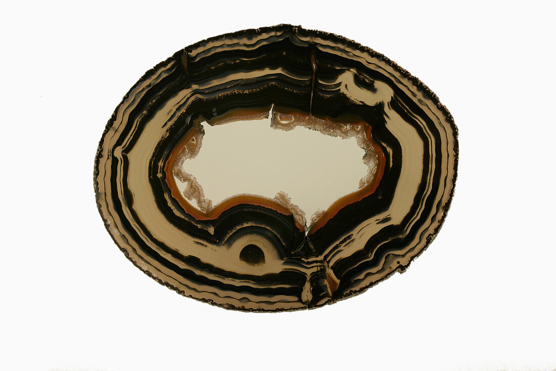Agate geode slice