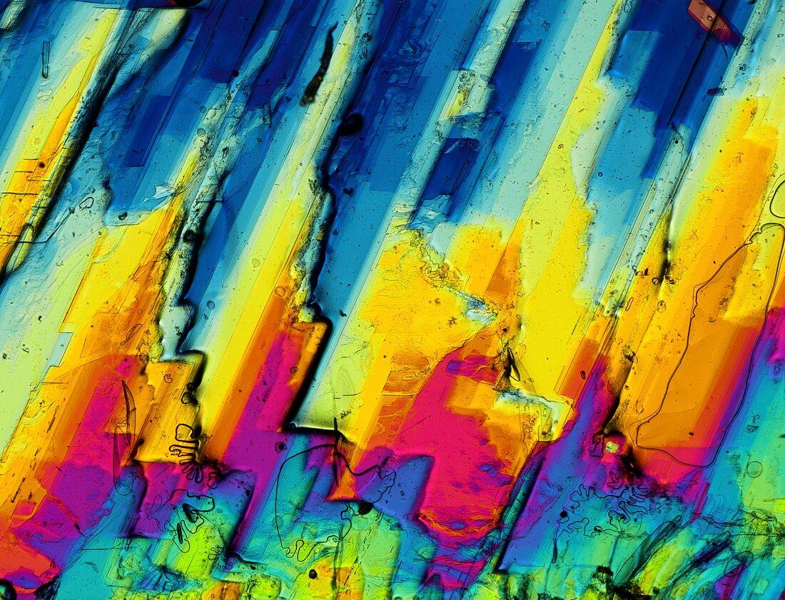 Gypsum,polarised LM in thin section