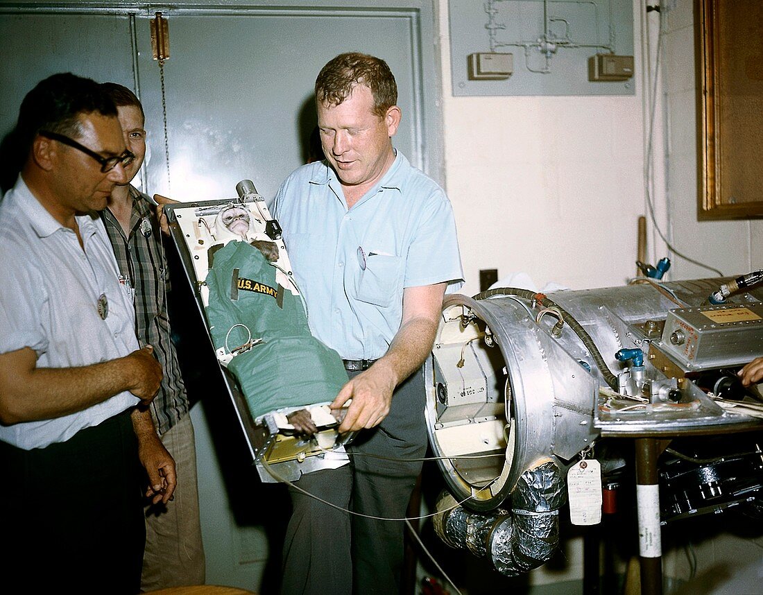 Rhesus monkey launch test,1959