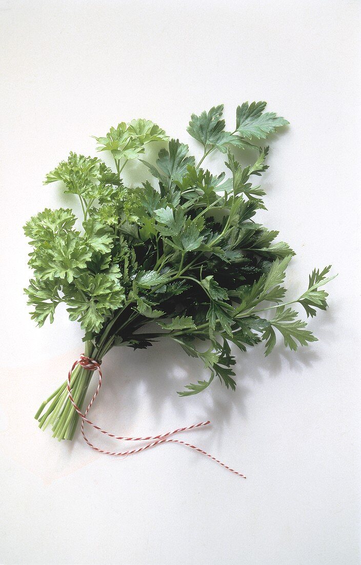 Herb Bouquet with Parsley and Cilantro