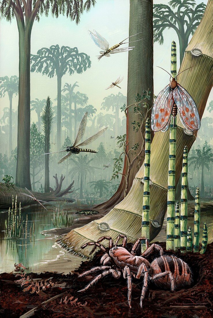 Carboniferous insects and swamp plants