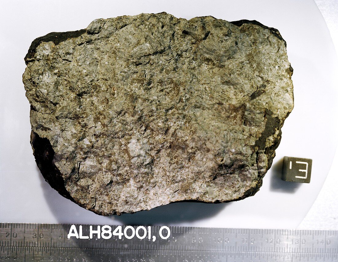 Sample of Martian meteorite ALH 84001