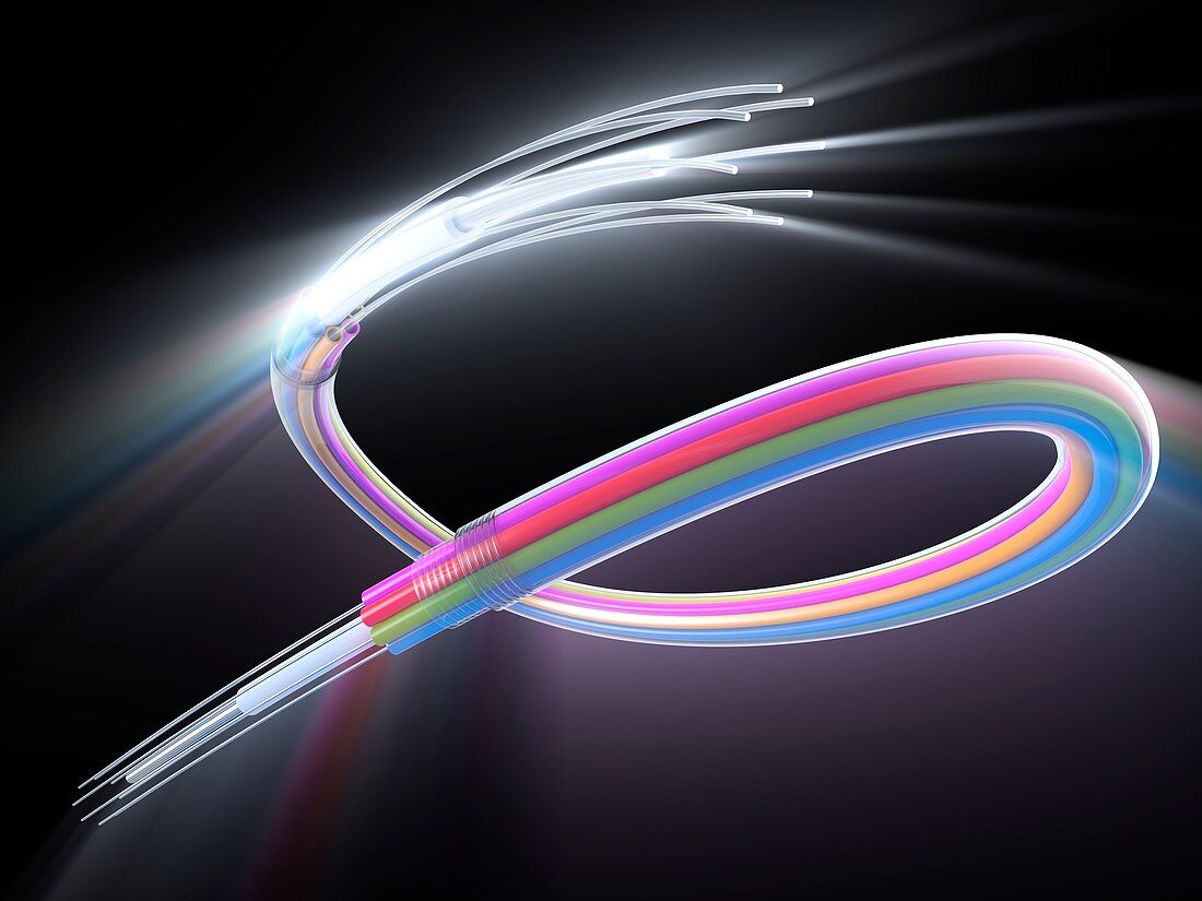 Fibre optic cable,artwork