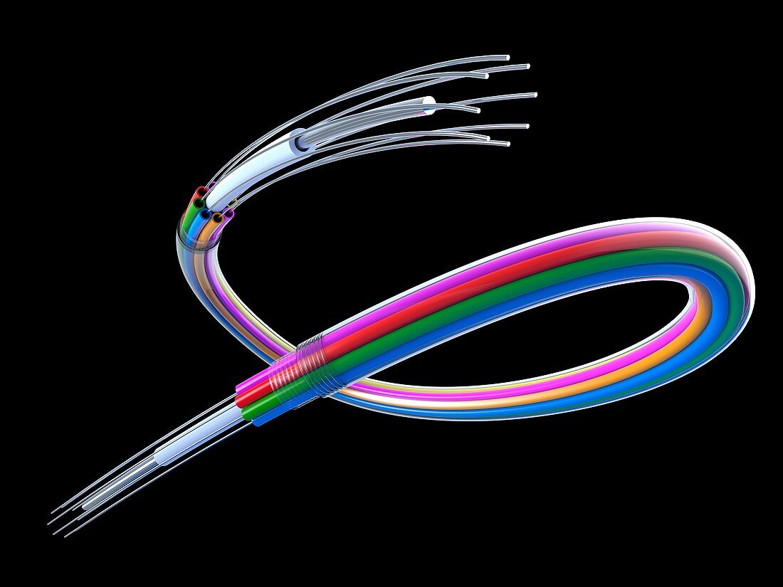 Fibre optic cable,artwork
