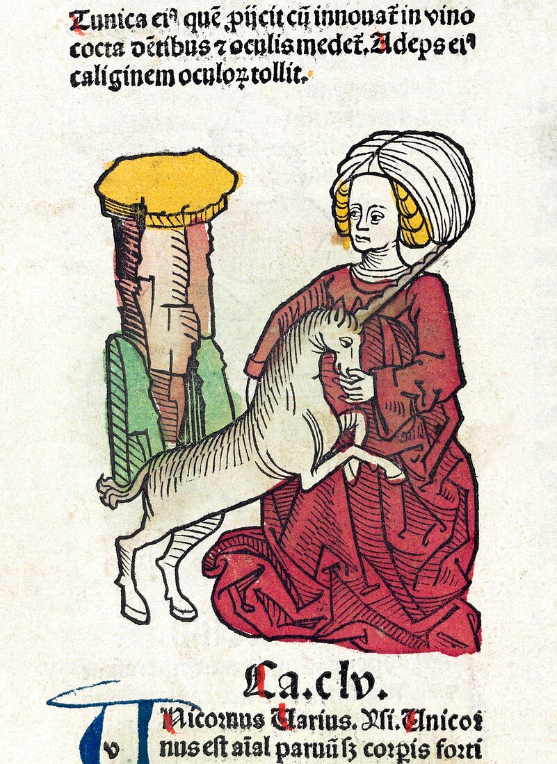 Lady and unicorn,15th century