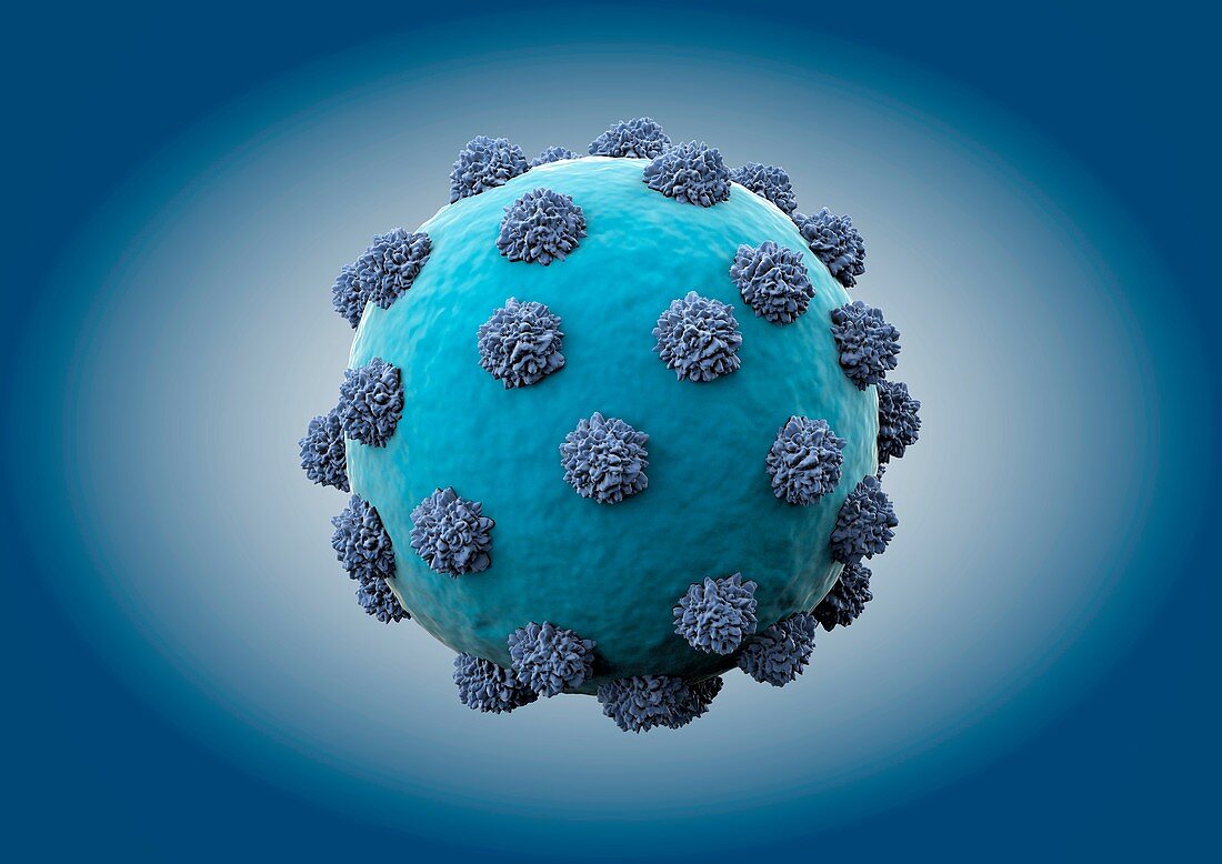 Hepatitis C virus,artwork