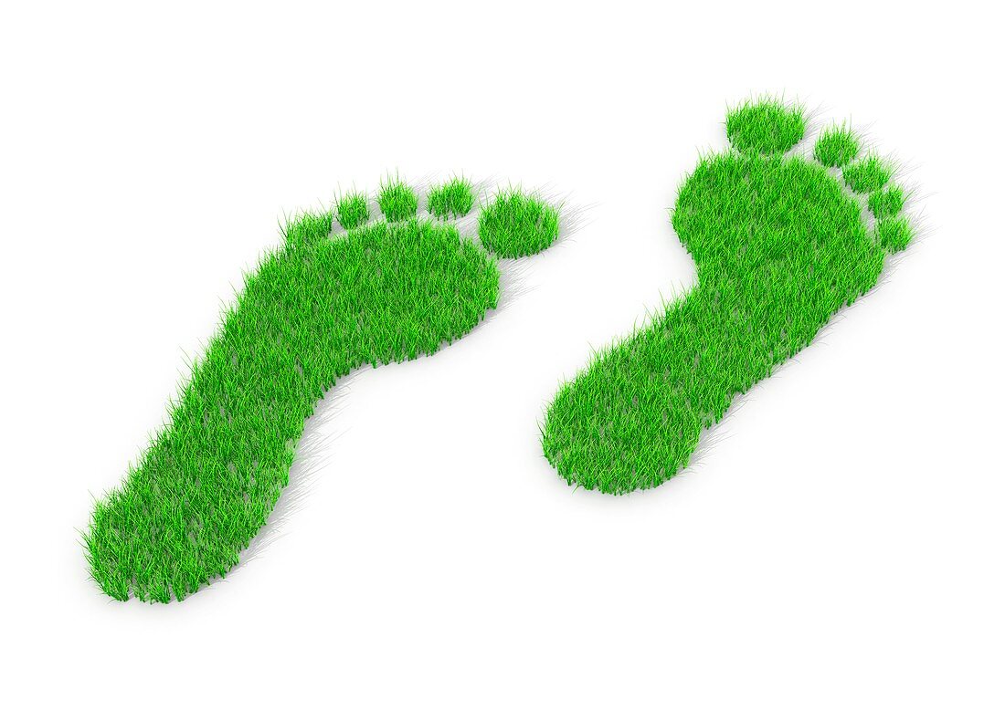 Carbon footprint,conceptual artwork