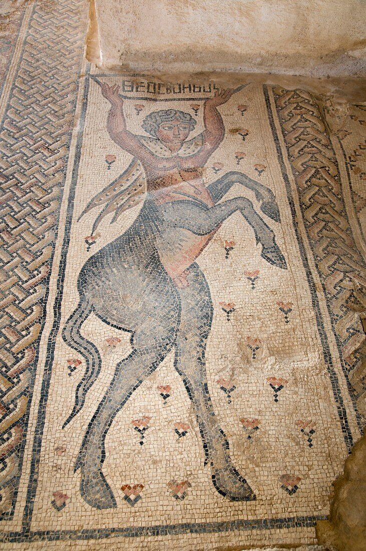 The Nile House The Centaur mosaic
