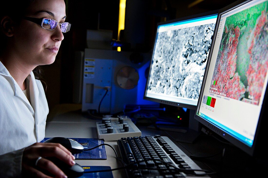 Pathologist viewing microscopic images