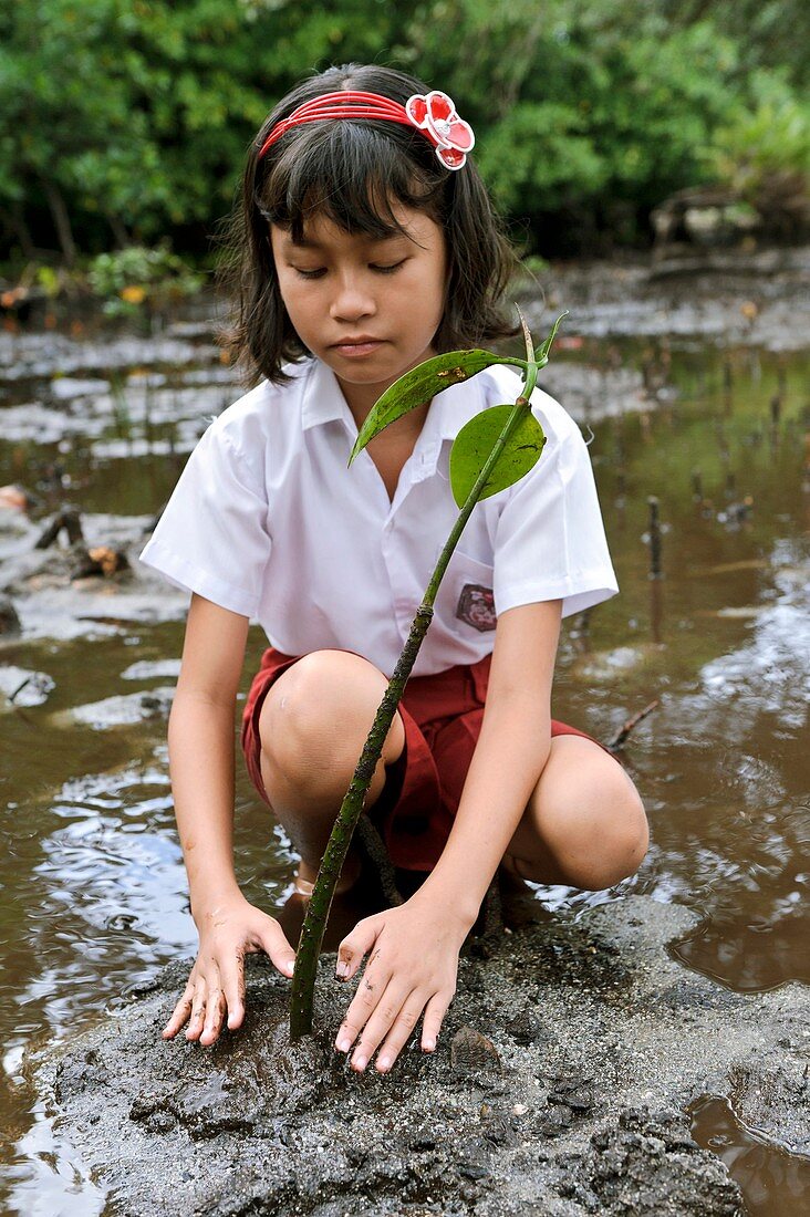 Environmental education,Indonesia