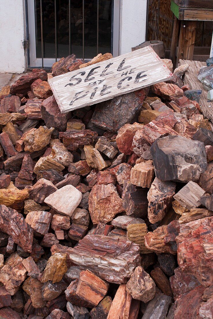 Petrified wood for sale in Arizona