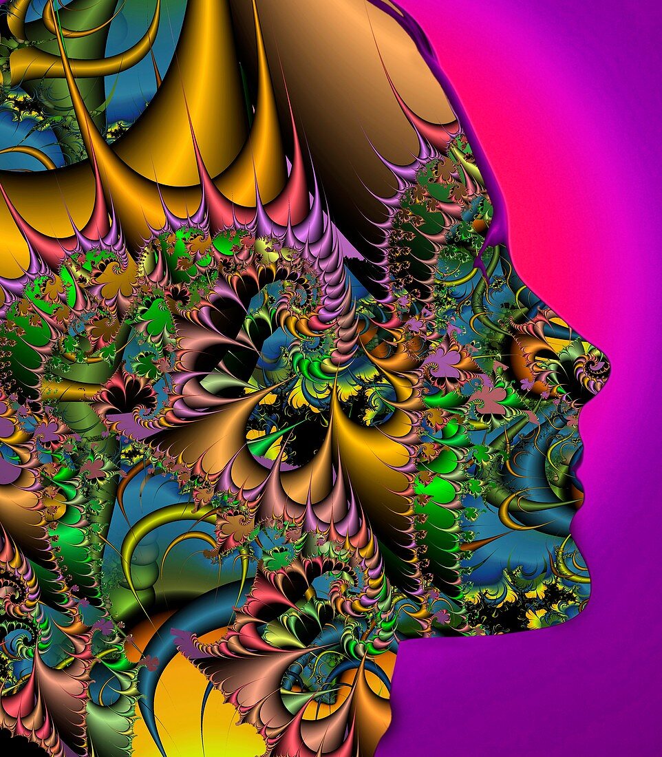 Fractal pattern and human face